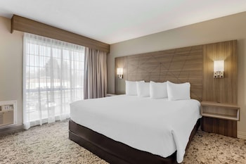 Suite, Multiple Beds, Non Smoking, Refrigerator & Microwave (Living Room;Larger Room)