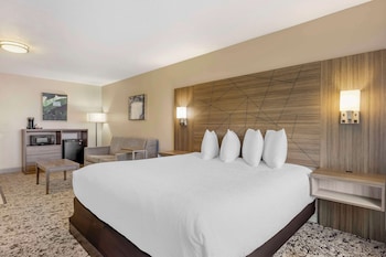 Standard Room, 1 King Bed, Accessible, Refrigerator & Microwave
