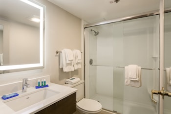 Suite, 1 King Bed