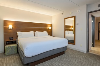 Suite, 1 King Bed