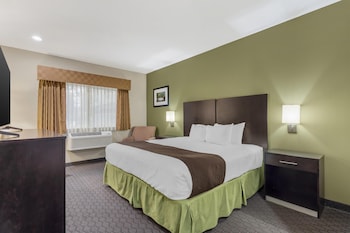 Standard Room, 1 King Bed, Non Smoking