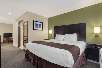 Suite, 1 King Bed, Non Smoking, Kitchen (with Sofabed, Full Kitchen)