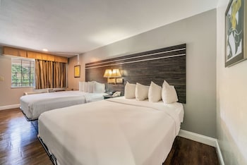 Standard Room, 2 Queen Beds, Non Smoking, Refrigerator & Microwave