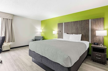 Room, 1 King Bed, Non Smoking (2 person whirlpool  in bathroom)