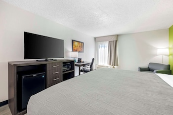 Room, 1 King Bed, Non Smoking (2 person whirlpool  in bathroom)