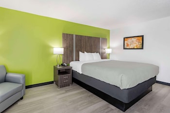 Room, 1 King Bed, Non Smoking (2 person whirlpool  in bathroom)