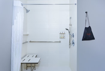 Suite, 1 King Bed, Roll-in Shower (Mobility Accessible)