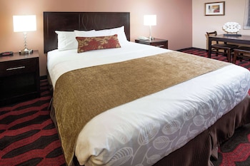 Efficiency, Standard Room, 1 Queen Bed, Non Smoking