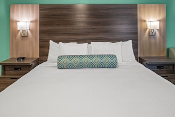Suite, 1 King Bed with Sofa bed