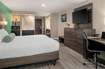 Standard Suite, 1 King Bed, Accessible