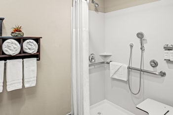Standard Suite, 1 King Bed, Accessible