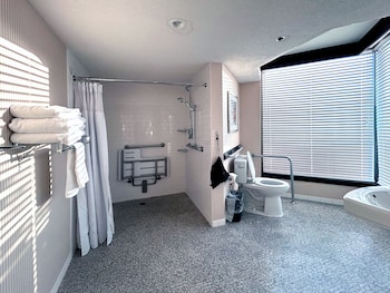 Room, 1 King Bed, Mobility Accessible, Non Smoking (Mobility, Roll-in Shower)