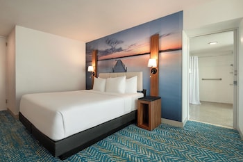 Room, 1 King Bed, Mobility Accessible, Non Smoking (Mobility, Roll-in Shower)