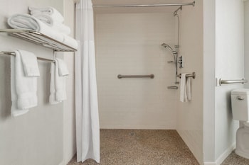 Room, 1 King Bed, Mobility Accessible, Non Smoking (Mobility, Roll-in Shower)