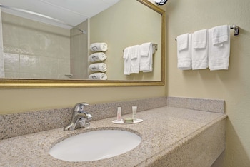 Suite, 1 Bedroom, Non Smoking