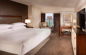 Room, 1 King Bed