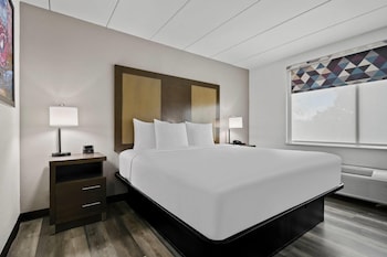 Room, 1 King Bed, Non Smoking