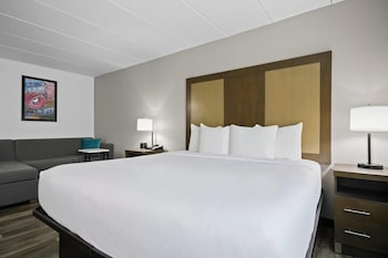 Deluxe Room, 1 King Bed, Non Smoking
