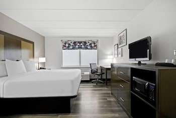 Room, 1 King Bed, Non Smoking