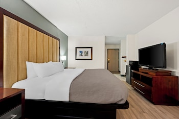 Room, 1 King Bed, Non Smoking