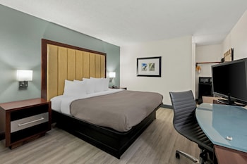 Room, 1 King Bed, Non Smoking