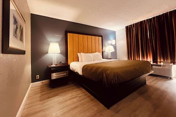 Room, 1 King Bed, Non Smoking