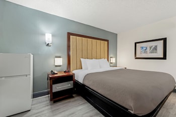 Standard Room, 1 King Bed, Non Smoking