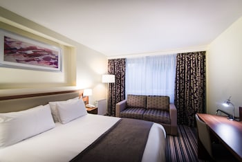 Standard Room, 1 King Bed with Sofa bed