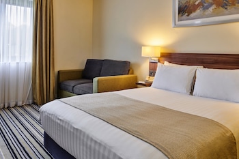 Standard Room, 1 King Bed with Sofa bed