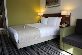Standard Room, 1 King Bed with Sofa bed