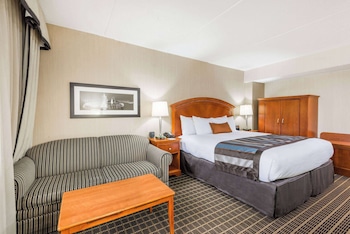 Room, 1 King Bed, Refrigerator