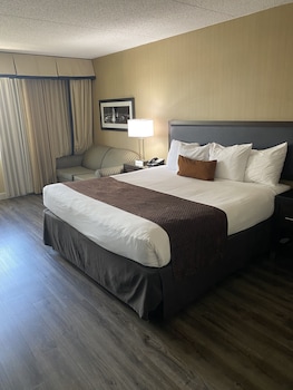 Room, 1 King Bed, Refrigerator