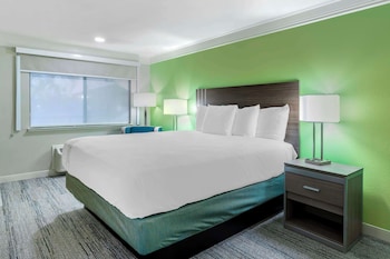 Standard Room, 1 King Bed, Accessible, Non Smoking