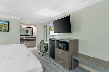 Standard Room, 1 Queen Bed, Non Smoking, Refrigerator & Microwave