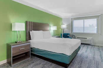 Standard Room, 1 King Bed, Accessible, Non Smoking