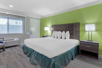 Standard Room, 1 King Bed, Non Smoking, Refrigerator & Microwave