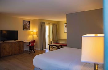 Suite, 1 King Bed