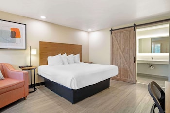 Standard Room, 1 King Bed, Non Smoking, Refrigerator & Microwave