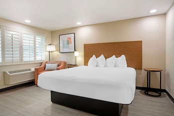 Standard Room, 1 King Bed, Non Smoking, Refrigerator & Microwave