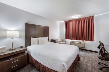 Room, 1 Queen Bed