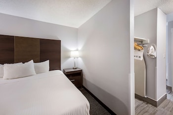Room, 1 Queen Bed