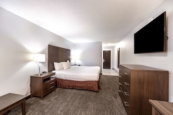 Room, 1 Queen Bed
