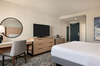 Room, 1 King Bed, Accessible, Bathtub (Mobility & Hearing, Fitness)