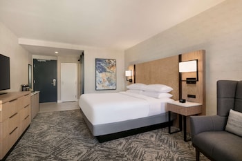 Room, 1 King Bed, Accessible, Bathtub (Mobility & Hearing, Fitness)