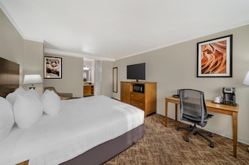 Standard Room, 1 King Bed, Non Smoking, Refrigerator & Microwave