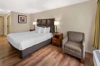 Standard Room, 1 King Bed, Non Smoking, Jetted Tub