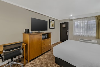 Standard Room, 1 Queen Bed, Non Smoking, Refrigerator & Microwave