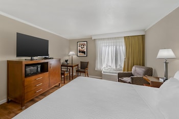 Standard Room, 1 King Bed, Accessible, Bathtub