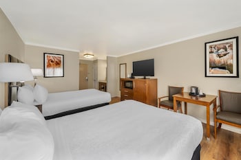 Standard Room, 2 Queen Beds, Non Smoking, Refrigerator & Microwave