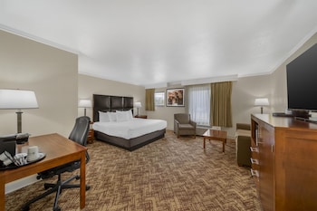 Standard Room, 1 King Bed, Non Smoking, Refrigerator & Microwave (Oversized Room)